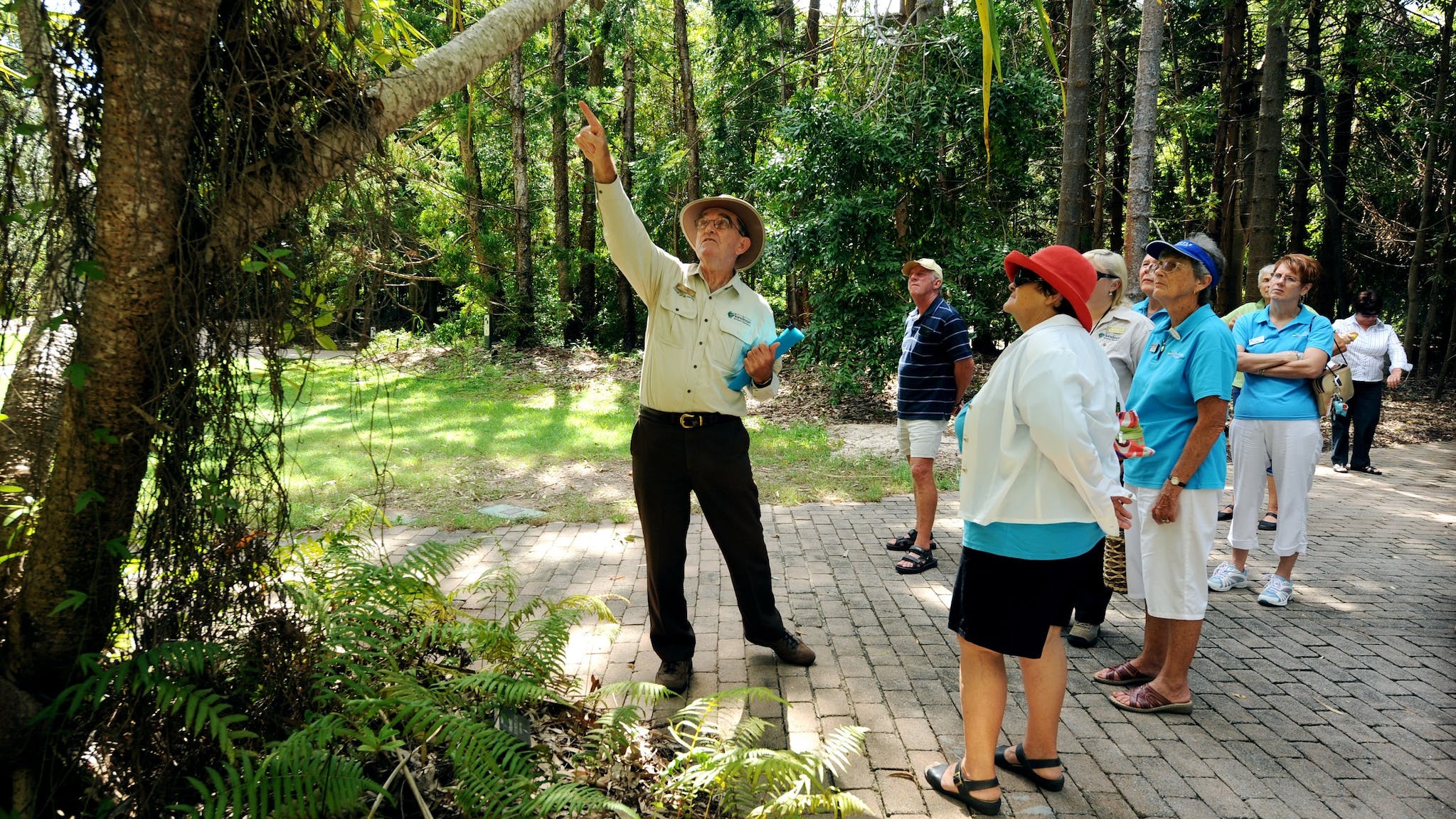 Tondoon Botanic Gardens and City Sights Tour