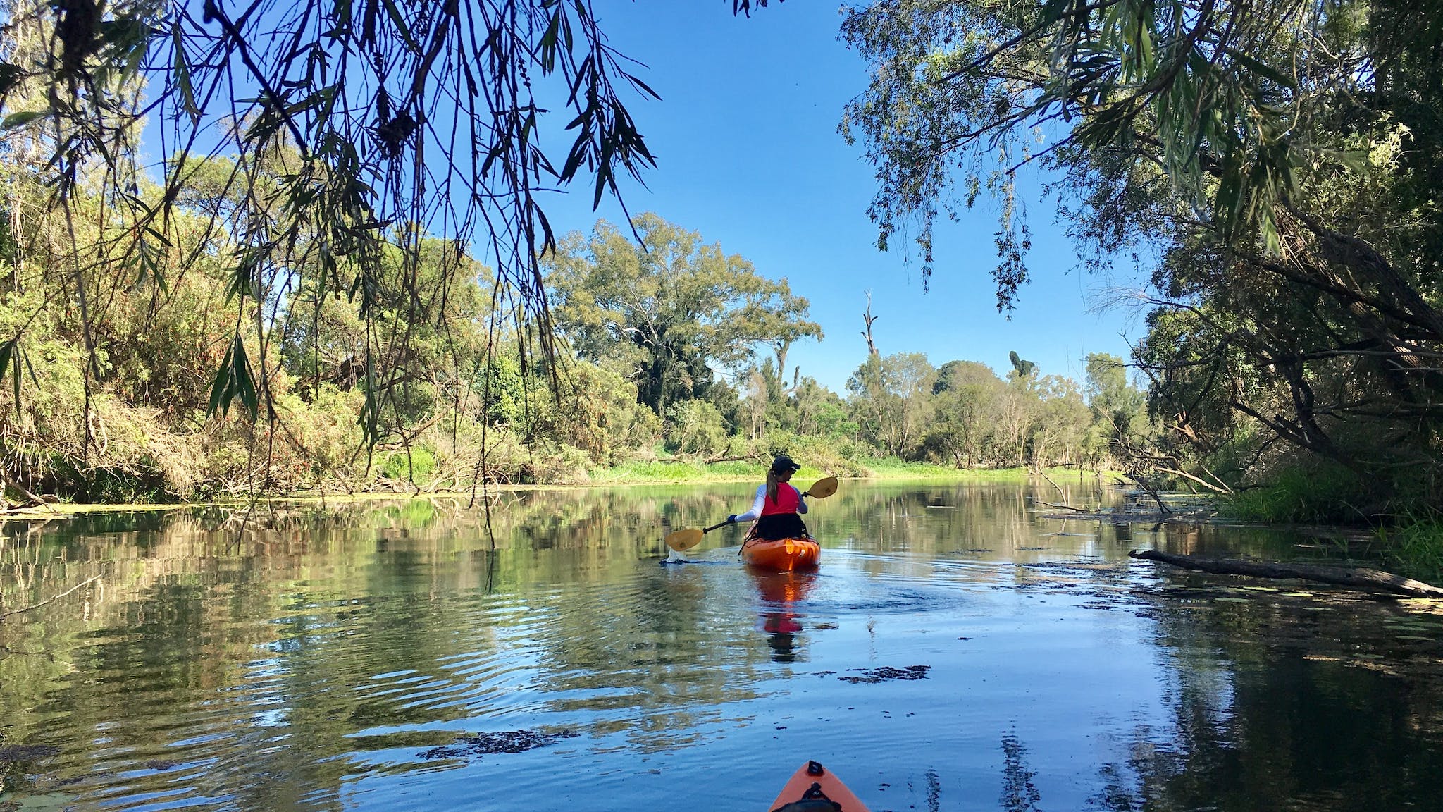 Boynedale Bush Camp