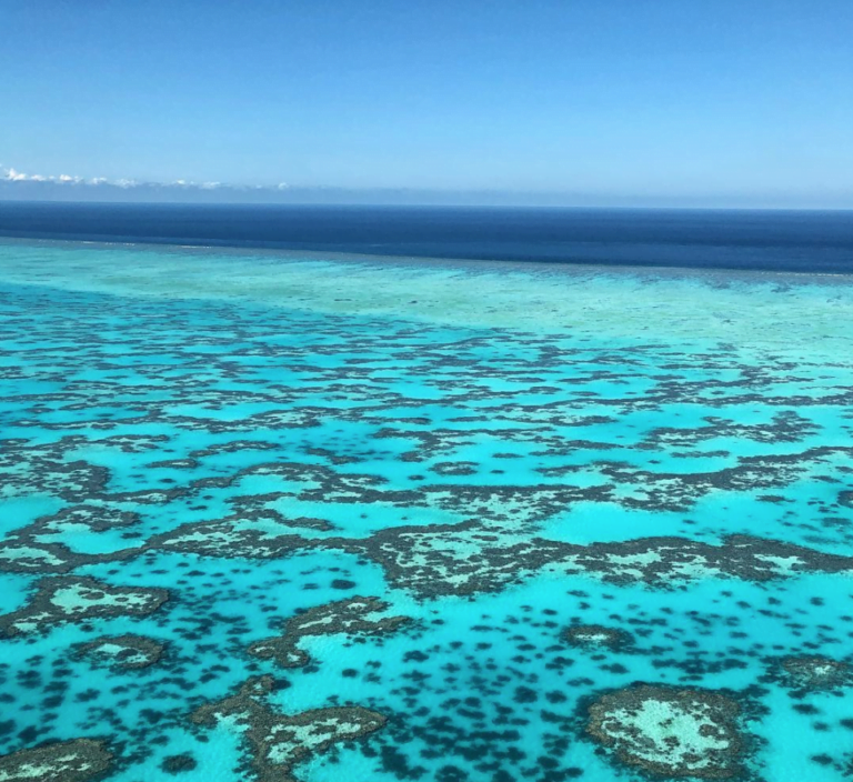 5 reasons to visit the Southern Great Barrier Reef in winter!