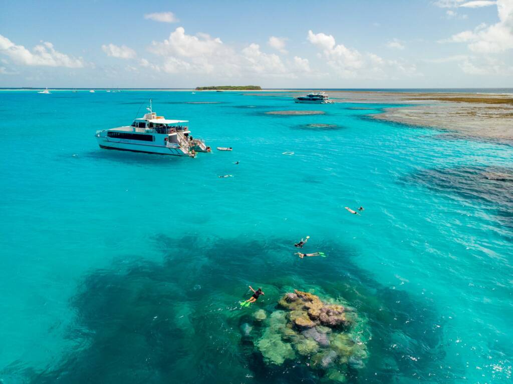 lady musgrave island 22 large