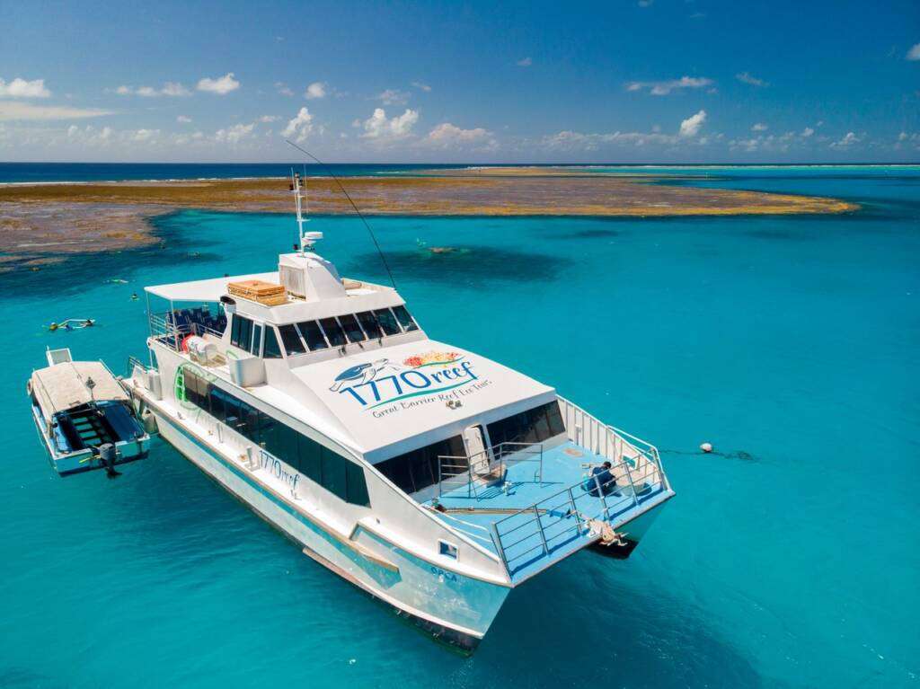 lady musgrave island 28 medium