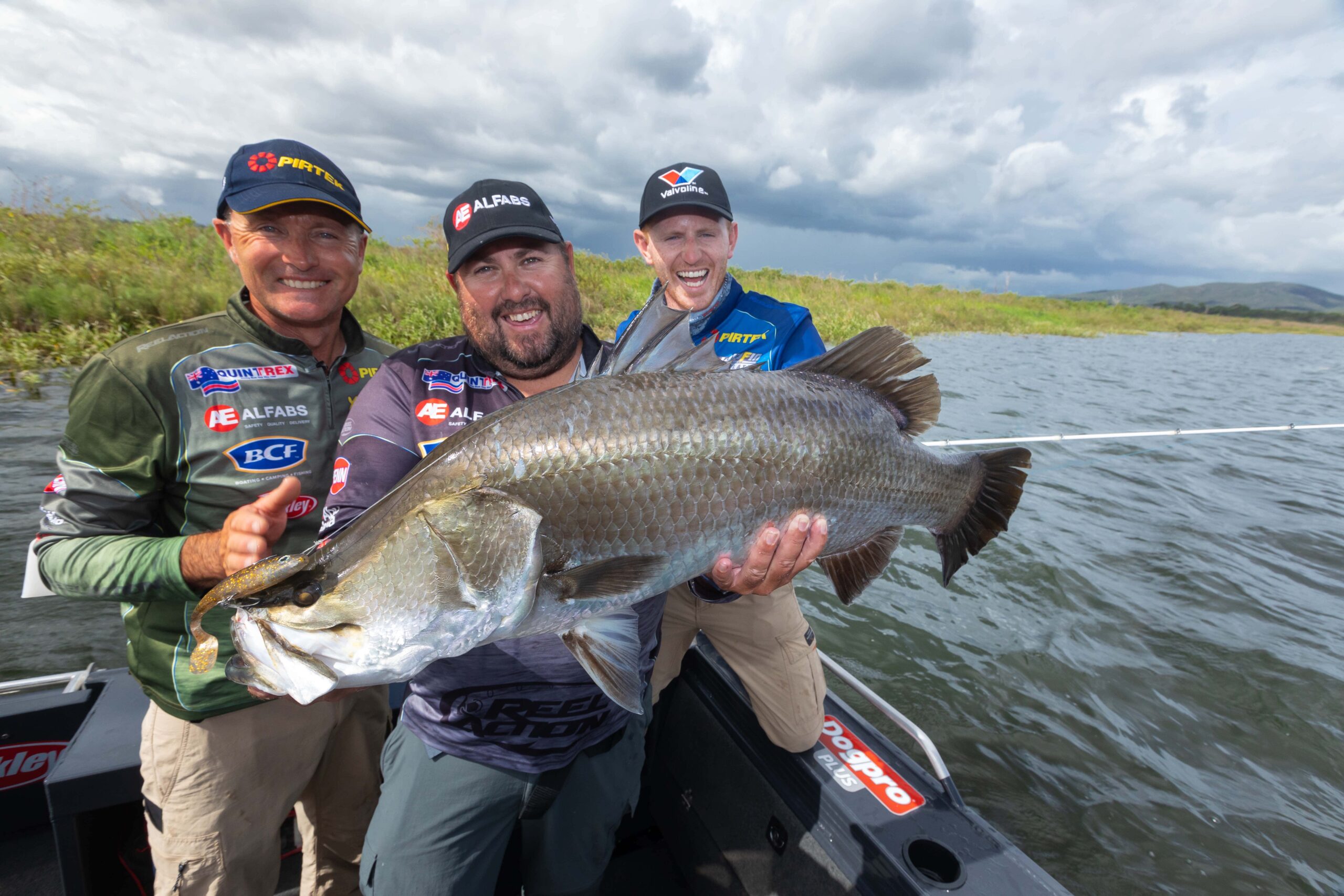 Barramundi