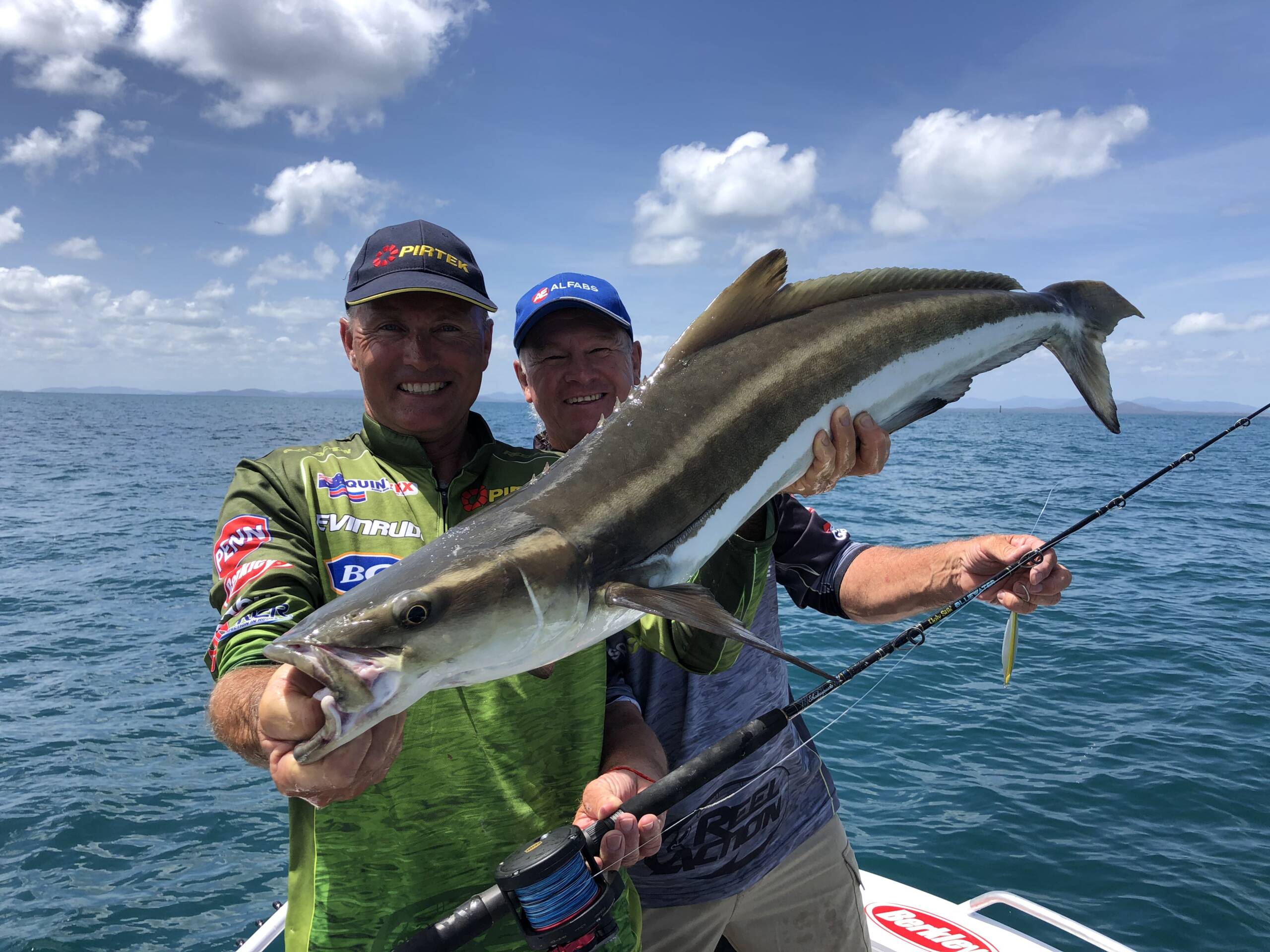 Cobia (black kingfish)