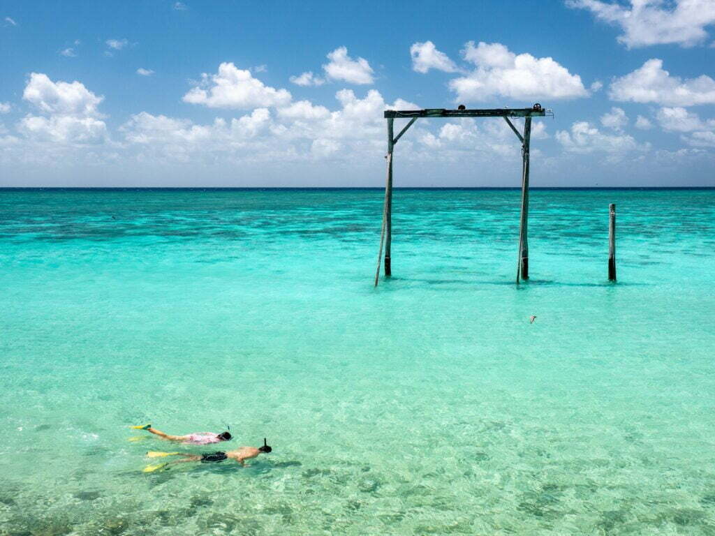 heron island 43.pdf