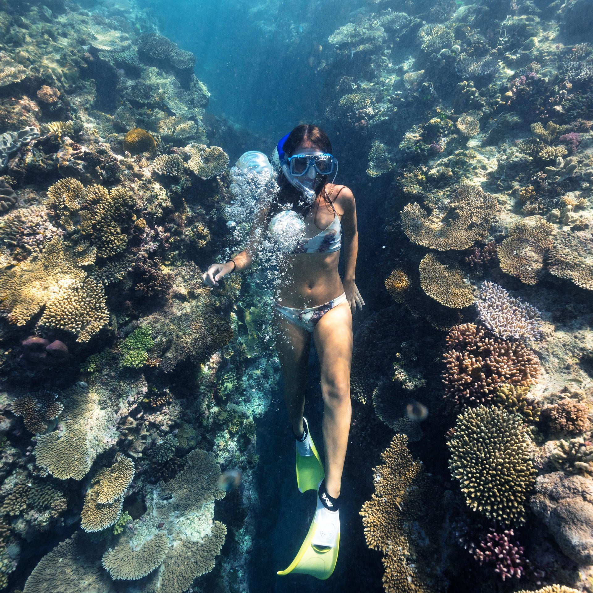 vodicka heron island 29 large