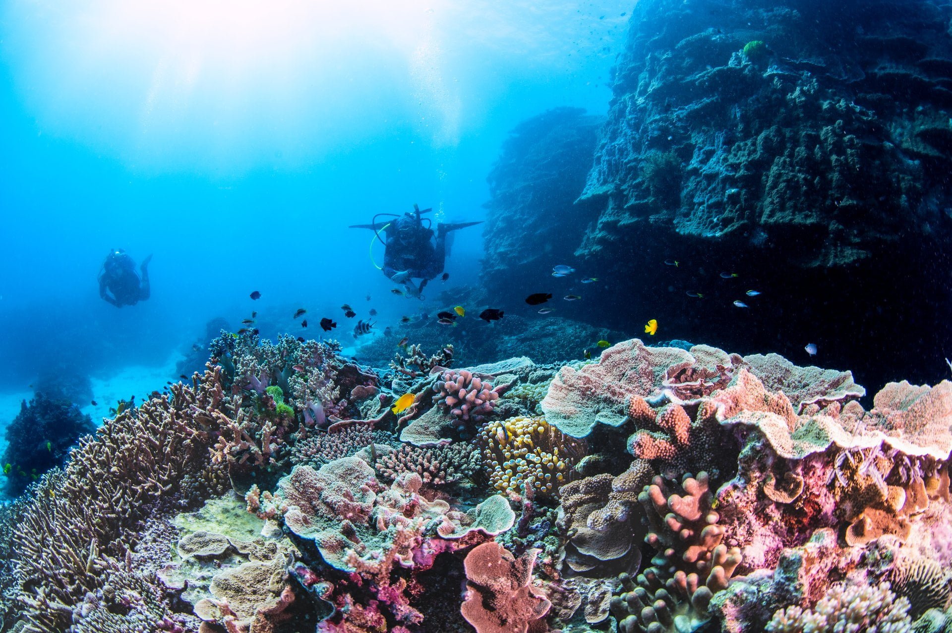 Dive Spear and Sport 1770