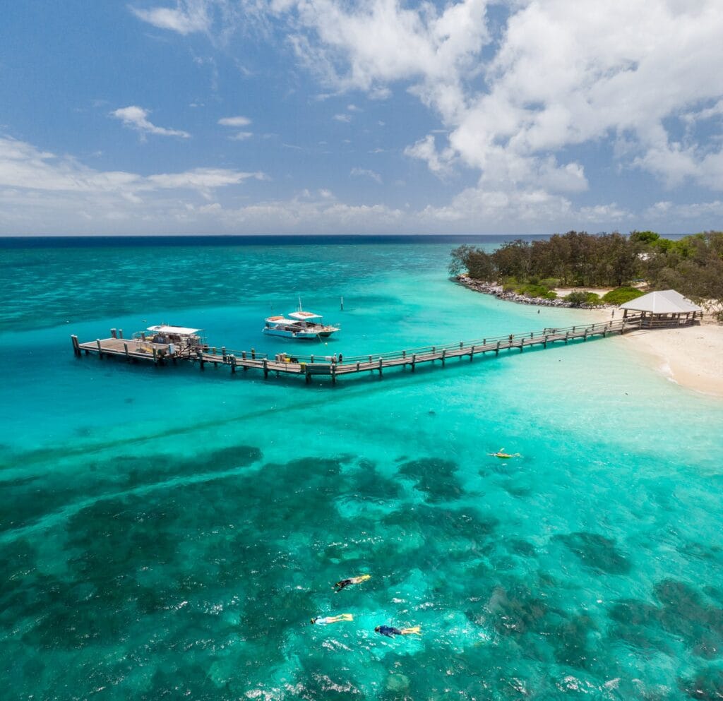 heron island 1
